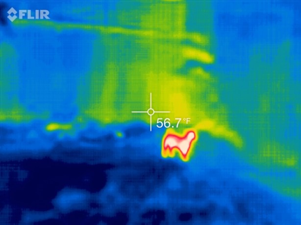 flir3